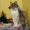Отзыв от Алена Лобанова